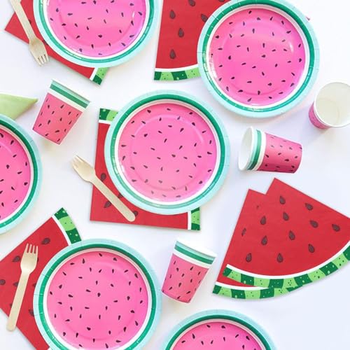 100 Watermelon Napkins - Disposable 13x13 Inch Paper Napkins for Summer Parties, Picnics, and Baby Showers
