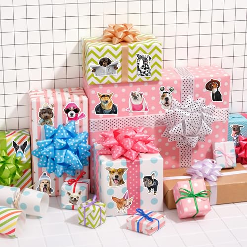 1000 Funny Dog Stickers on Rolls – 16 Cute Designs, Waterproof & Self-Adhesive