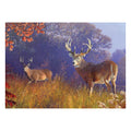 1000-Piece Deer Jigsaw Puzzle in Tin – Rivers Edge Products Wildlife Scene 28x20 Inches