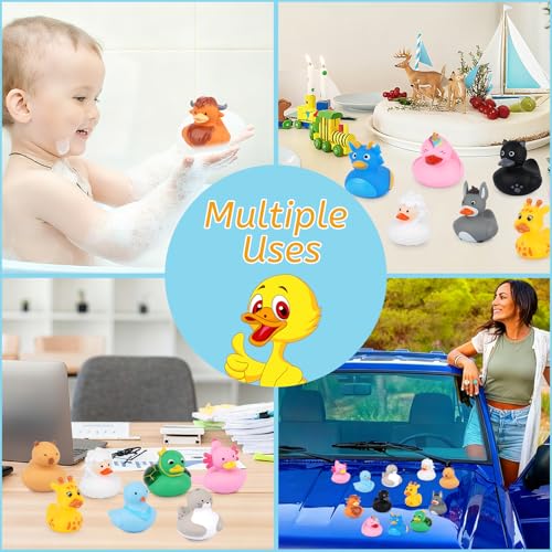 12 Assorted Mini Rubber Ducks – No-Hole Bath Toys with Animal Designs (Highland Cow, Black Cat, Sheep) by Prewplam