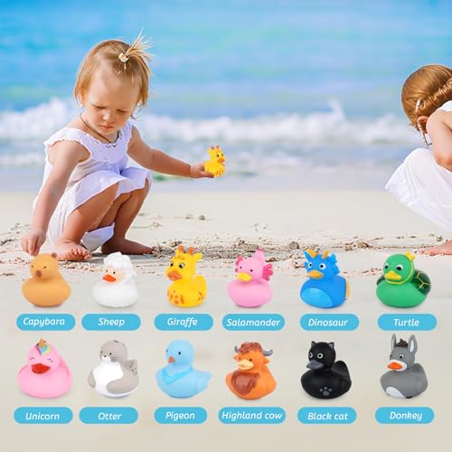 12 Assorted Mini Rubber Ducks – No-Hole Bath Toys with Animal Designs (Highland Cow, Black Cat, Sheep) by Prewplam