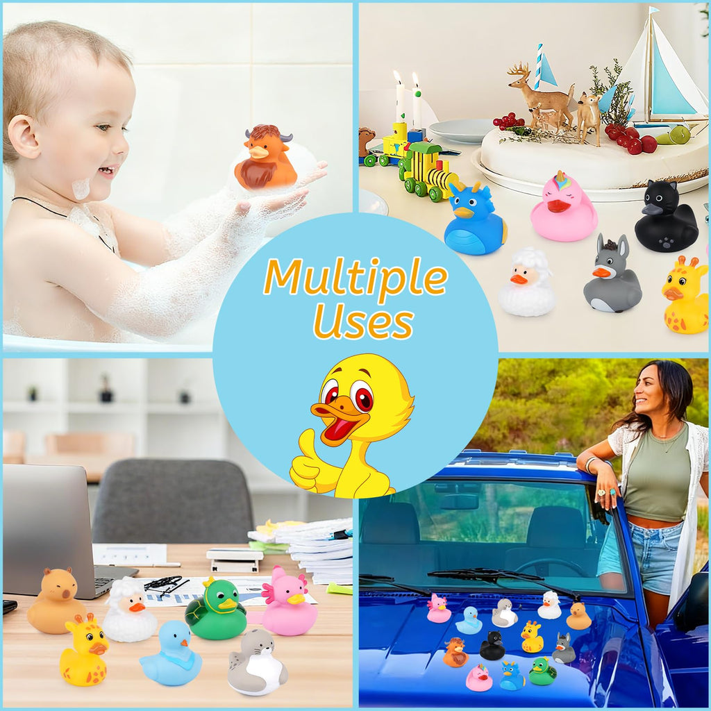 12 Assorted Mini Rubber Ducks – No-Hole Bath Toys with Animal Designs (Highland Cow, Black Cat, Sheep) by Prewplam