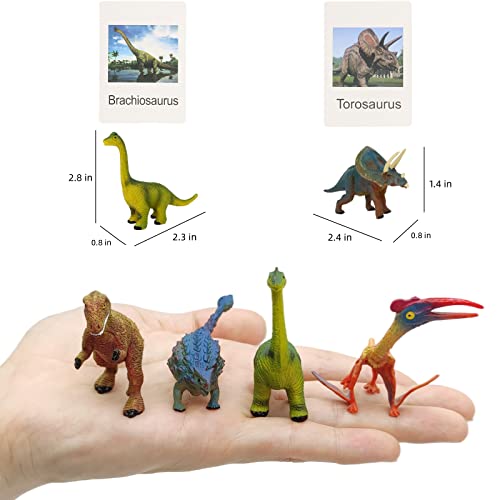 12 Dinosaur Figurines with Matching Cards – Montessori Learning Toy Set for Kids Age 3 and Up