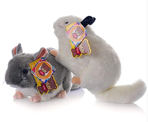 12 Inch Chinchilla Plush Toy by Cute Rabbit – Soft Realistic Stuffed Animal