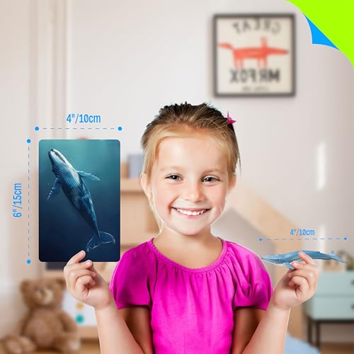 12 Realistic Plastic Marine Animal Figurines with 12 Double-Sided Learning Cards - Educational Toy Set by SpriteGru