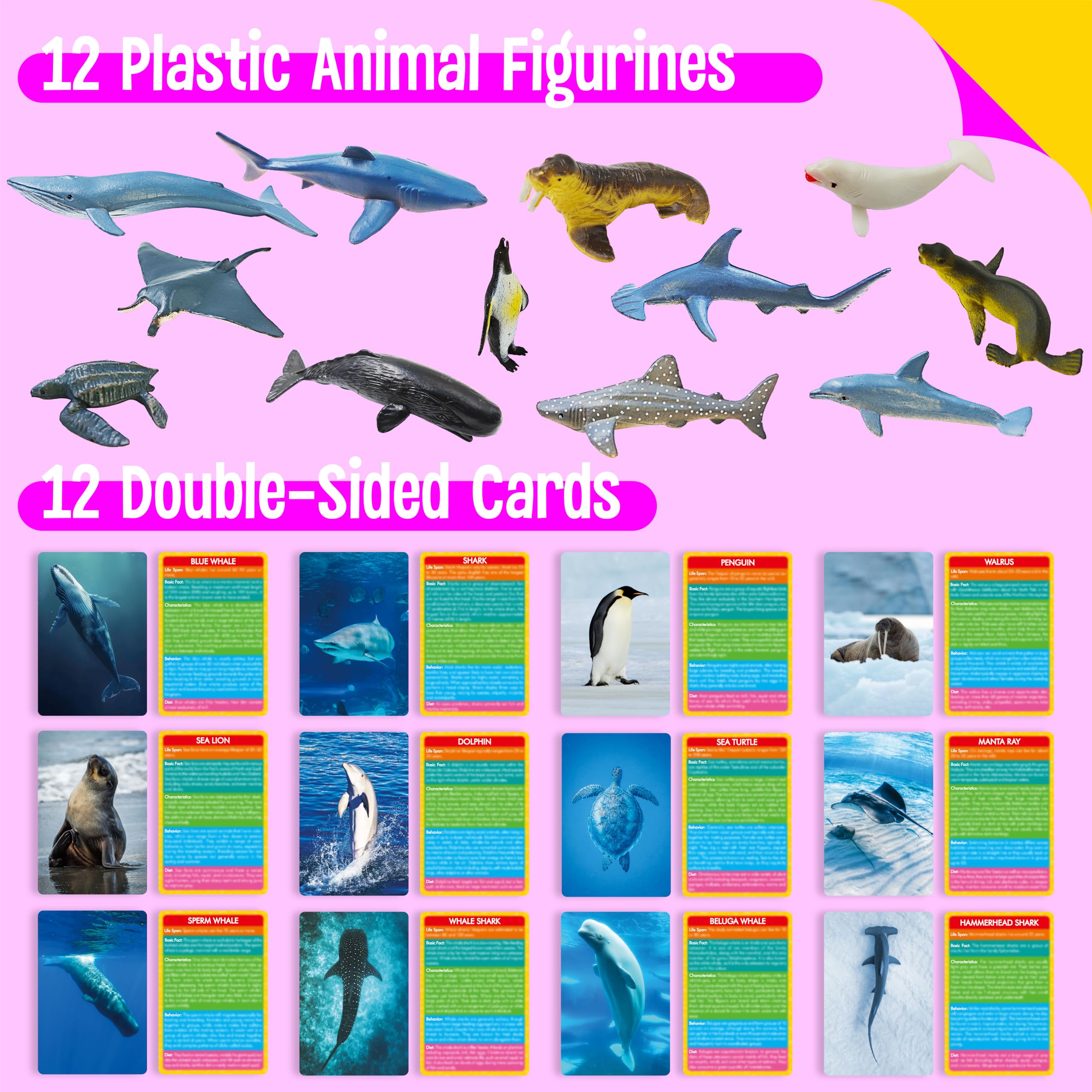 12 Realistic Plastic Marine Animal Figurines with 12 Double-Sided Learning Cards - Educational Toy Set by SpriteGru