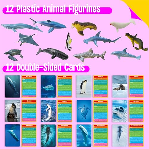 12 Realistic Plastic Marine Animal Figurines with 12 Double-Sided Learning Cards - Educational Toy Set by SpriteGru