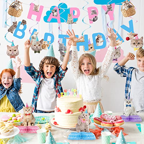16 Pcs Cat Birthday Party Decorations Set - Banner, Cutouts, Swirls & Centerpieces