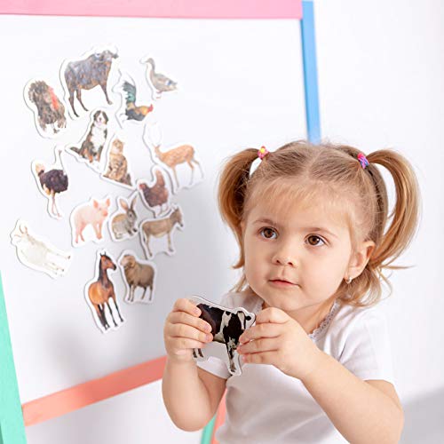 16 Realistic Farm Animal Fridge Magnets by Magdum – Educational Magnetic Set for Toddlers Age 3+