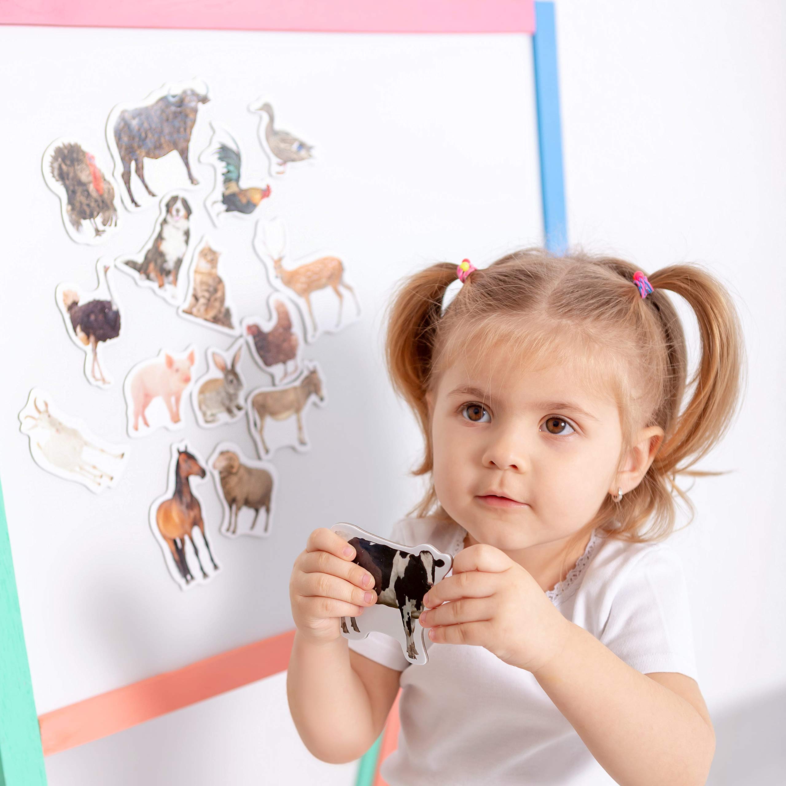 16 Realistic Farm Animal Fridge Magnets by Magdum – Educational Magnetic Set for Toddlers Age 3+