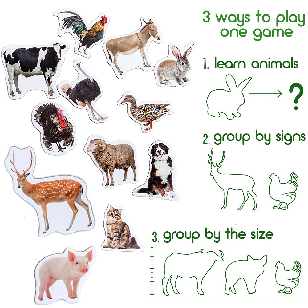 16 Realistic Farm Animal Fridge Magnets by Magdum – Educational Magnetic Set for Toddlers Age 3+