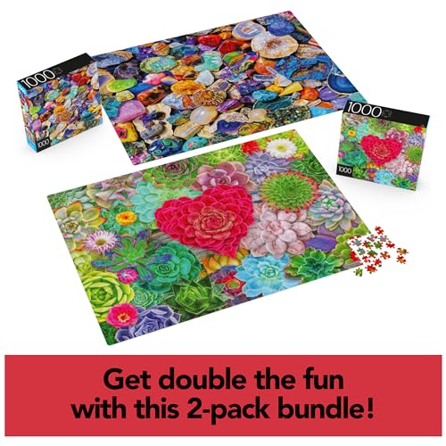 2-Pack 1000-Piece Jigsaw Puzzles: Succulents & Rocks and Minerals – Amazon Exclusive for Adults & Kids 8+