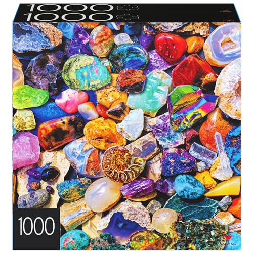 2-Pack 1000-Piece Jigsaw Puzzles: Succulents & Rocks and Minerals – Amazon Exclusive for Adults & Kids 8+