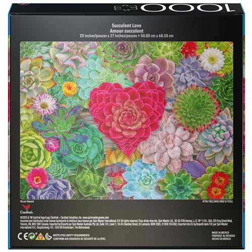 2-Pack 1000-Piece Jigsaw Puzzles: Succulents & Rocks and Minerals – Amazon Exclusive for Adults & Kids 8+