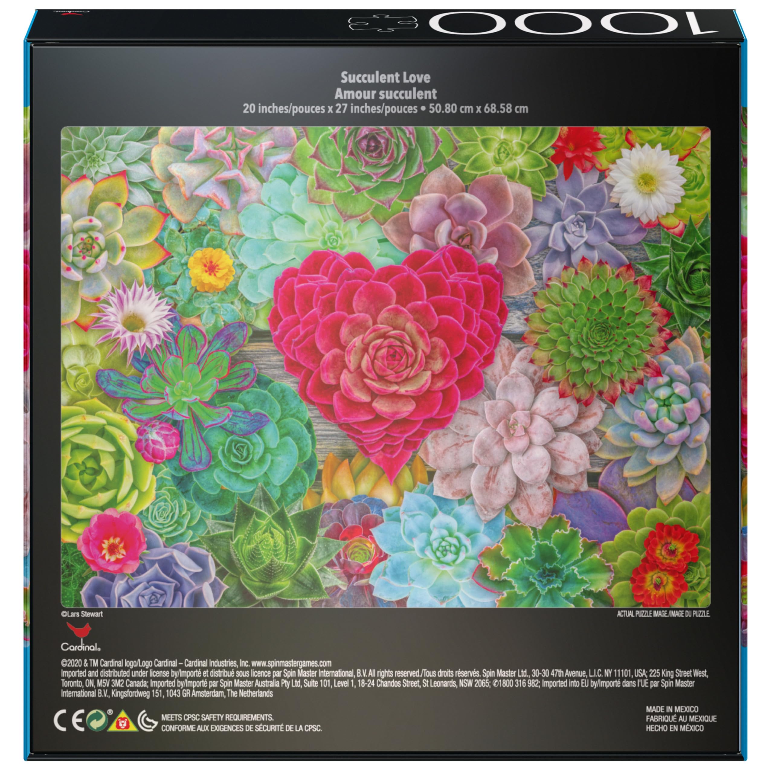 2-Pack 1000-Piece Jigsaw Puzzles: Succulents & Rocks and Minerals – Amazon Exclusive for Adults & Kids 8+