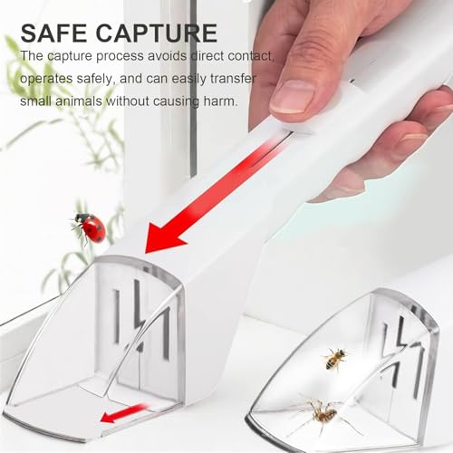 2-Piece Humane Small Animal Catcher – Quick Release Bug Container for Kids & Adults