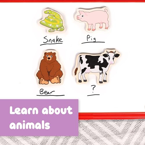 20-Piece Wooden Animal Magnets for Kids Ages 2+ – Chunky, Safe & Durable Play Magnets from SPARK & WOW