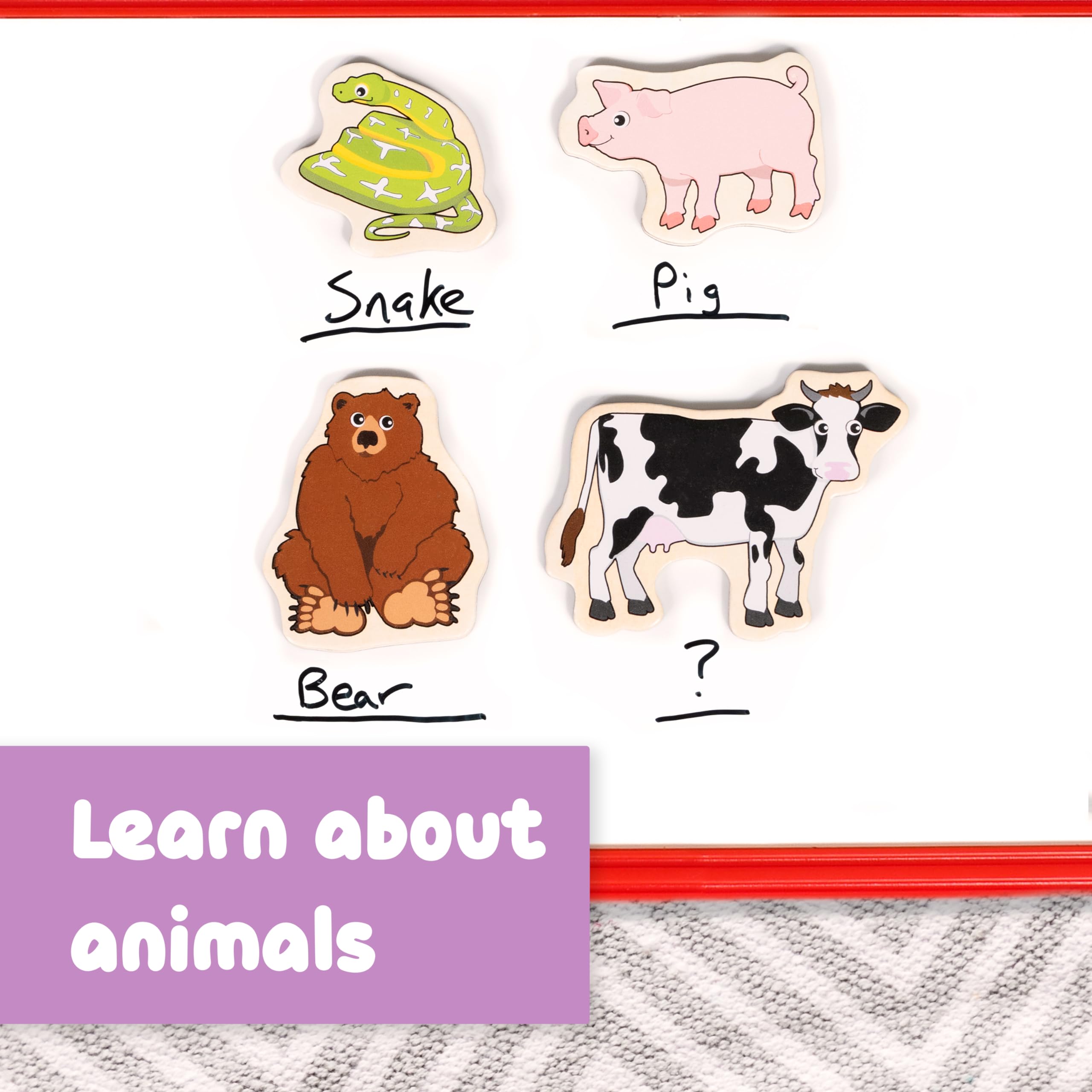 20-Piece Wooden Animal Magnets for Kids Ages 2+ – Chunky, Safe & Durable Play Magnets from SPARK & WOW
