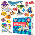 20-Piece Wooden Sea Life Magnets for Kids Ages 2+ | SPARK & WOW