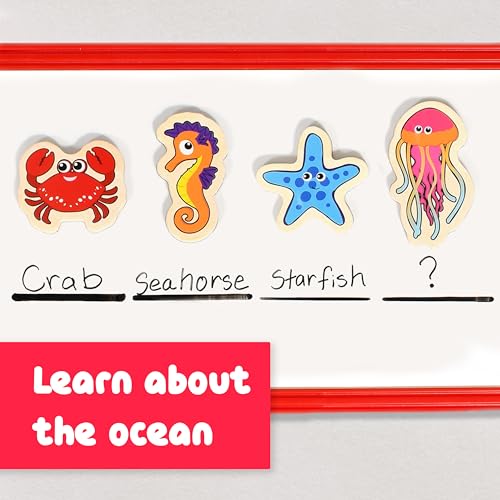 20-Piece Wooden Sea Life Magnets for Kids Ages 2+ | SPARK & WOW