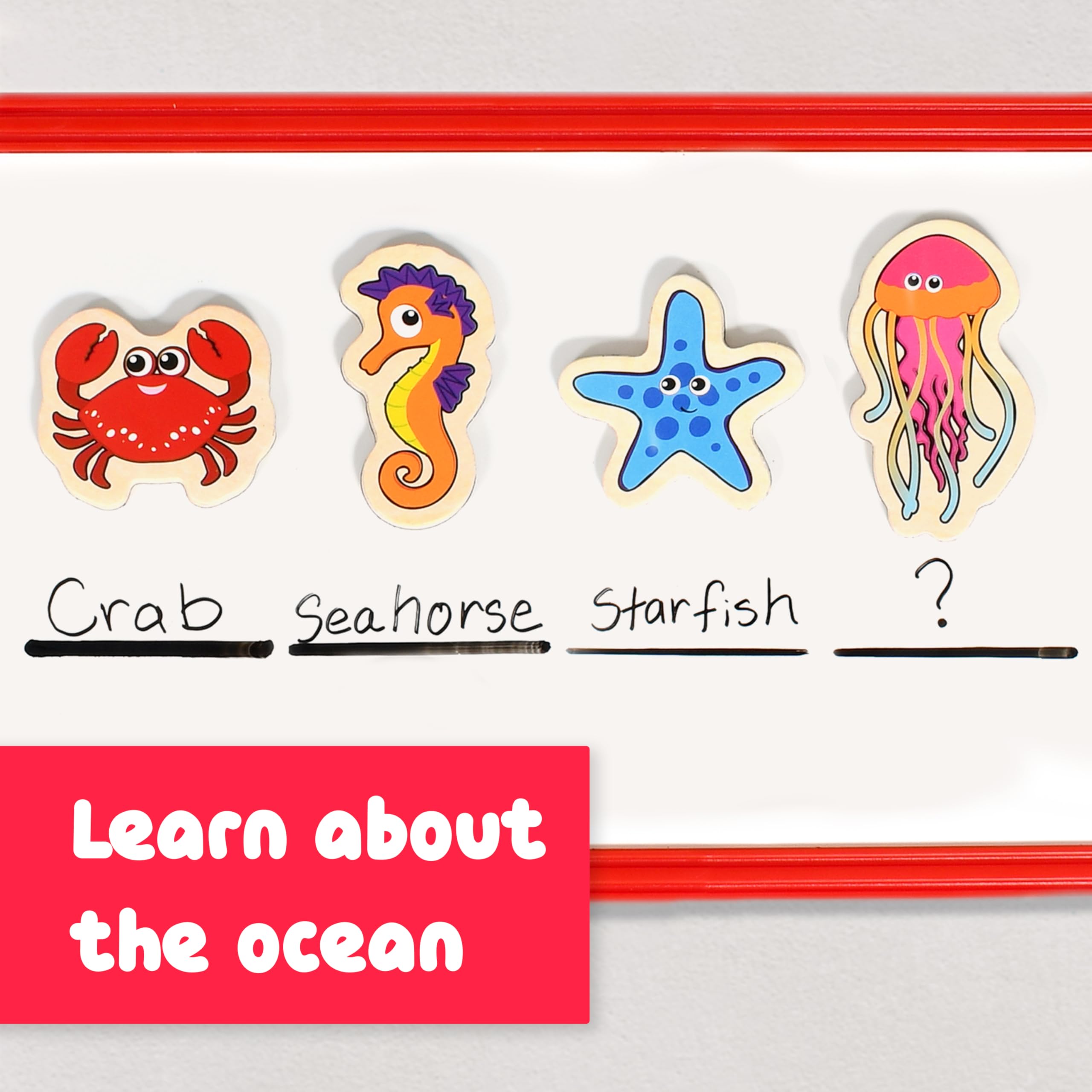 20-Piece Wooden Sea Life Magnets for Kids Ages 2+ | SPARK & WOW
