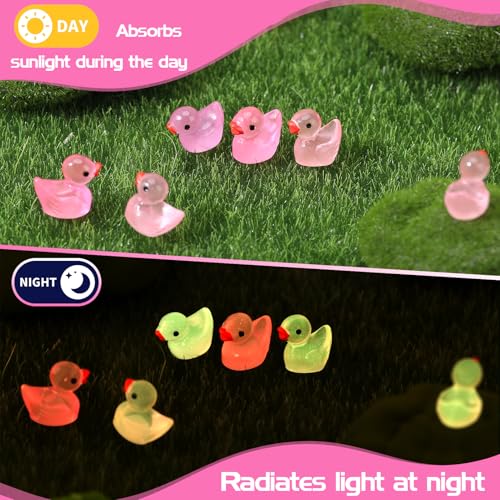 210 Mini Resin Ducks in Pink, Red & Purple – Tiny Duck Figurines for DIY Crafts, Dollhouse Decor & Valentine's Day Gifts