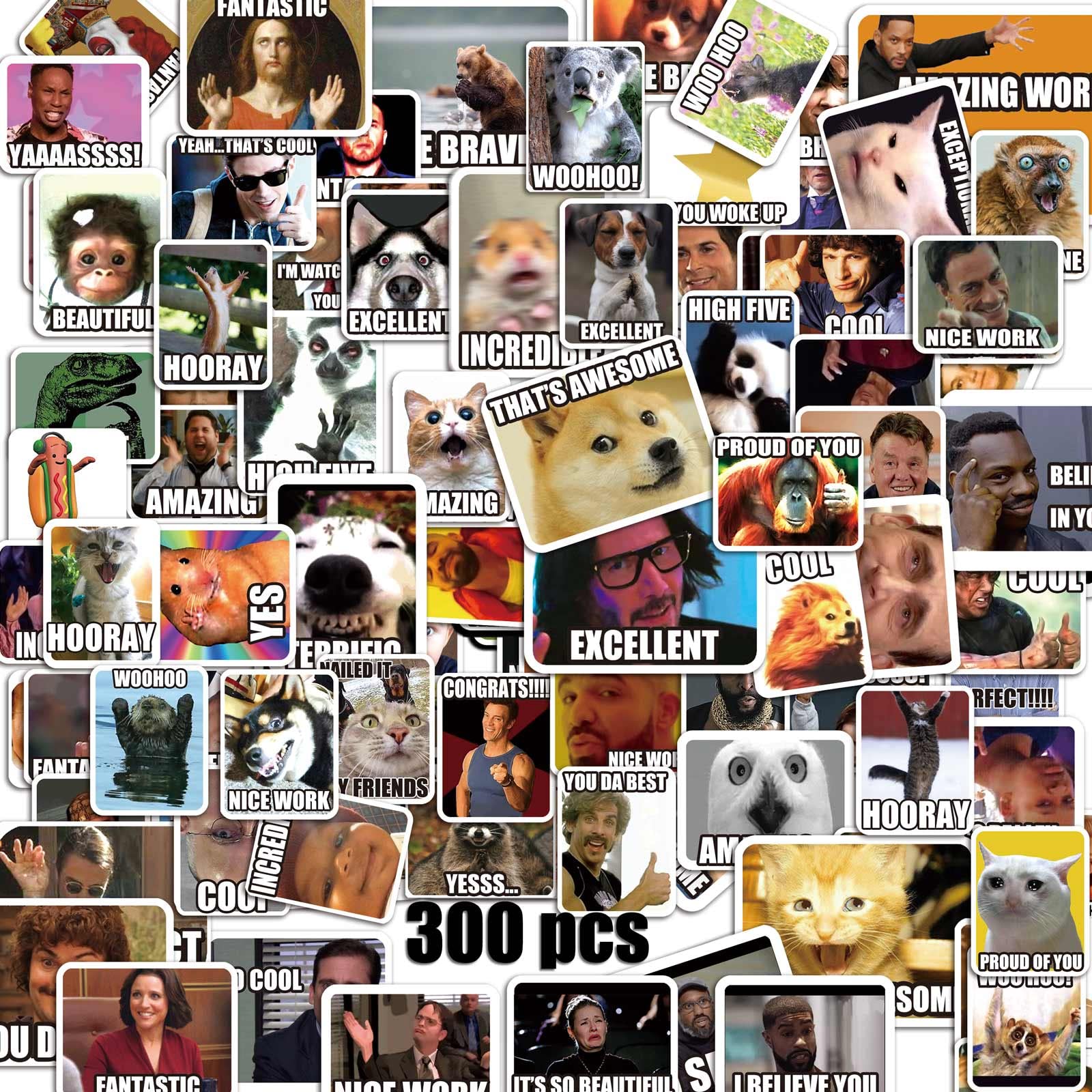 300 Funny Meme Stickers – Vinyl Sheets, Easy Peel, No Repeats, Water-Resistant for Laptops & Water Bottles