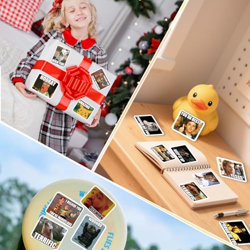 300 Funny Meme Stickers – Vinyl Sheets, Easy Peel, No Repeats, Water-Resistant for Laptops & Water Bottles