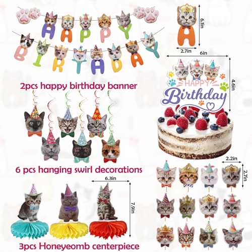 33-Piece Cat Birthday Party Decorations Set for Cat Lovers – Banners, Swirls, Honeycombs & Cupcake Toppers