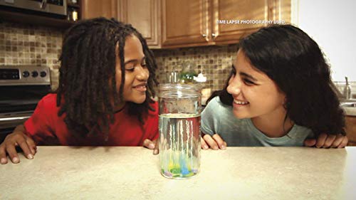 toysmith-magic-rocks-original-science-kit-grow-an-underwater-crystal-garden-for-ages-8