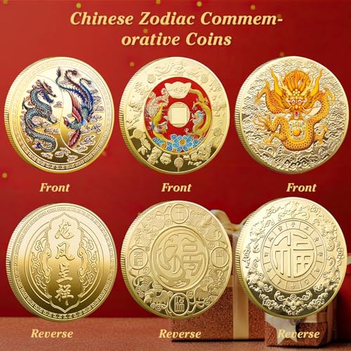 5 Pcs Chinese Dragon Lucky Coin Set with Acrylic Cases – LAIAMER Zodiac Coins for Fortune Collection