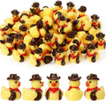 50 Mini Resin Cowboy Ducks – Tiny Yellow Duckies with Cowboy Hat for Western Decor