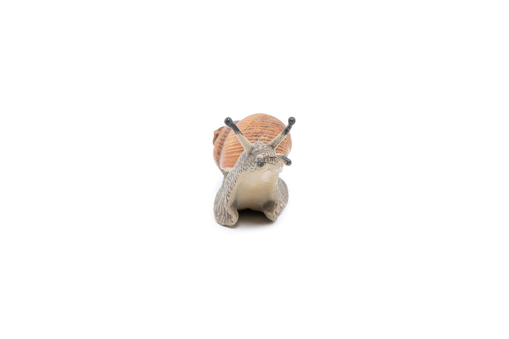 Papo Garden Snail Figure – Hand-Painted Realistic Miniature Animal Toy for Kids 3+