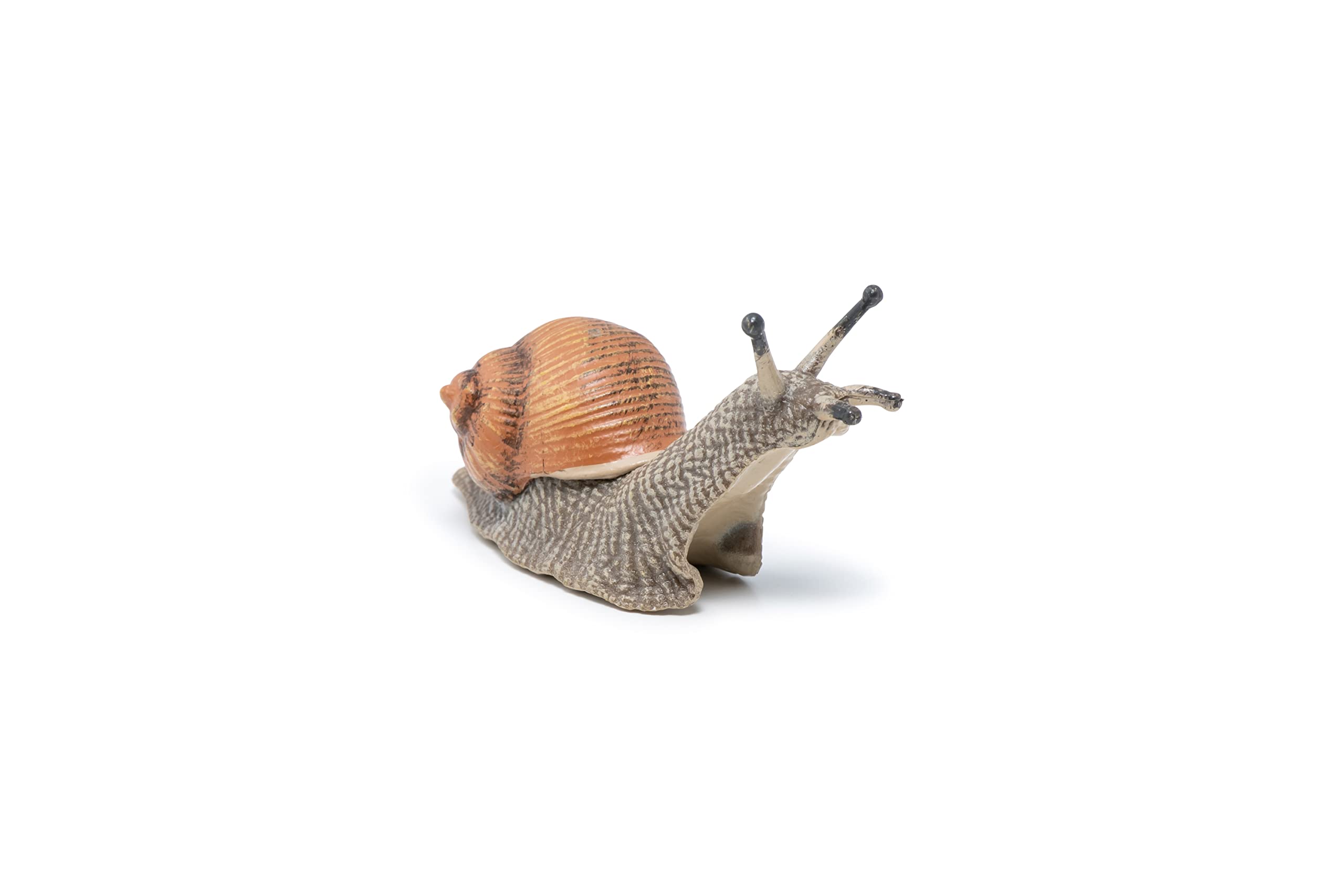 Papo Garden Snail Figure – Hand-Painted Realistic Miniature Animal Toy for Kids 3+