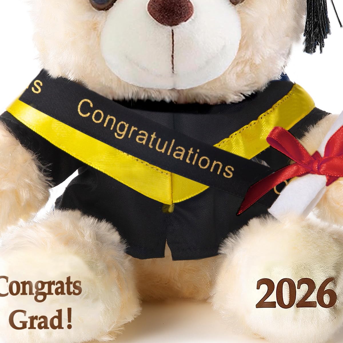 8-Inch Graduation Teddy Bear Plush with Cap and Diploma by Oukiwi (Black Attire)