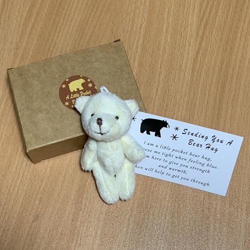 A Little Pocket Bear Hug - Mini Bronze Plush with Hug Token Card, Emotional Support Gift for Graduation Birthday