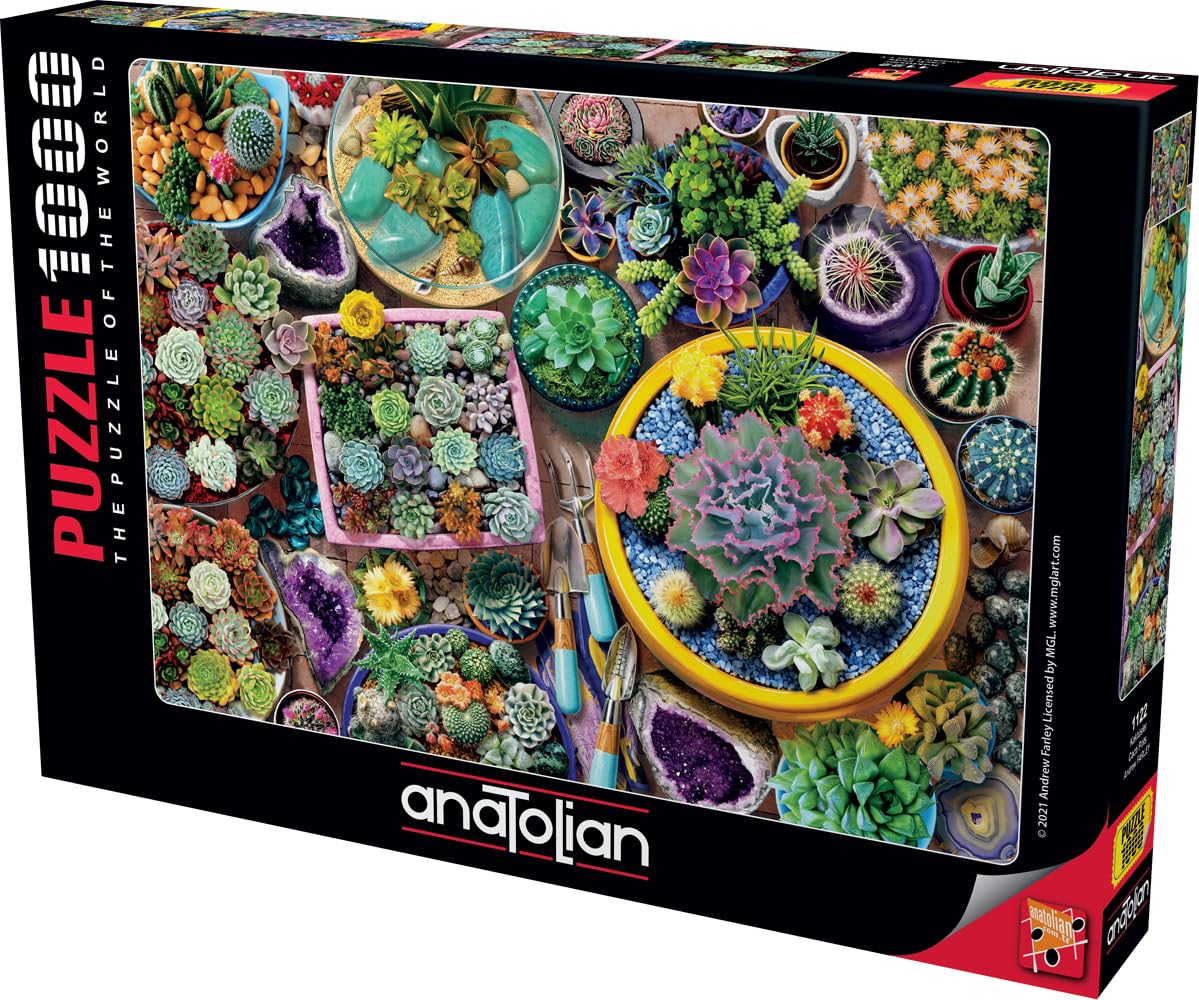 Anatolian Cacti Pots 1000-Piece Jigsaw Puzzle – Glare-Free, Made in Türkiye