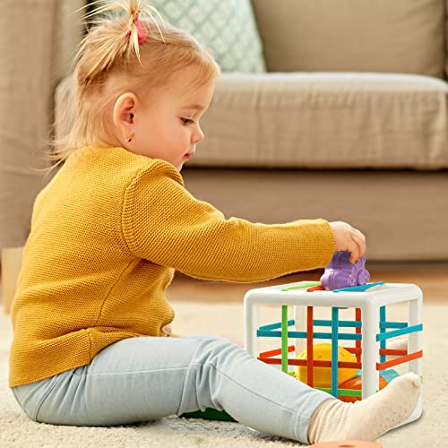 Aprilwolf Montessori Shape Sorting Cube - 6 Sensory Blocks for Toddlers 1-3 Years