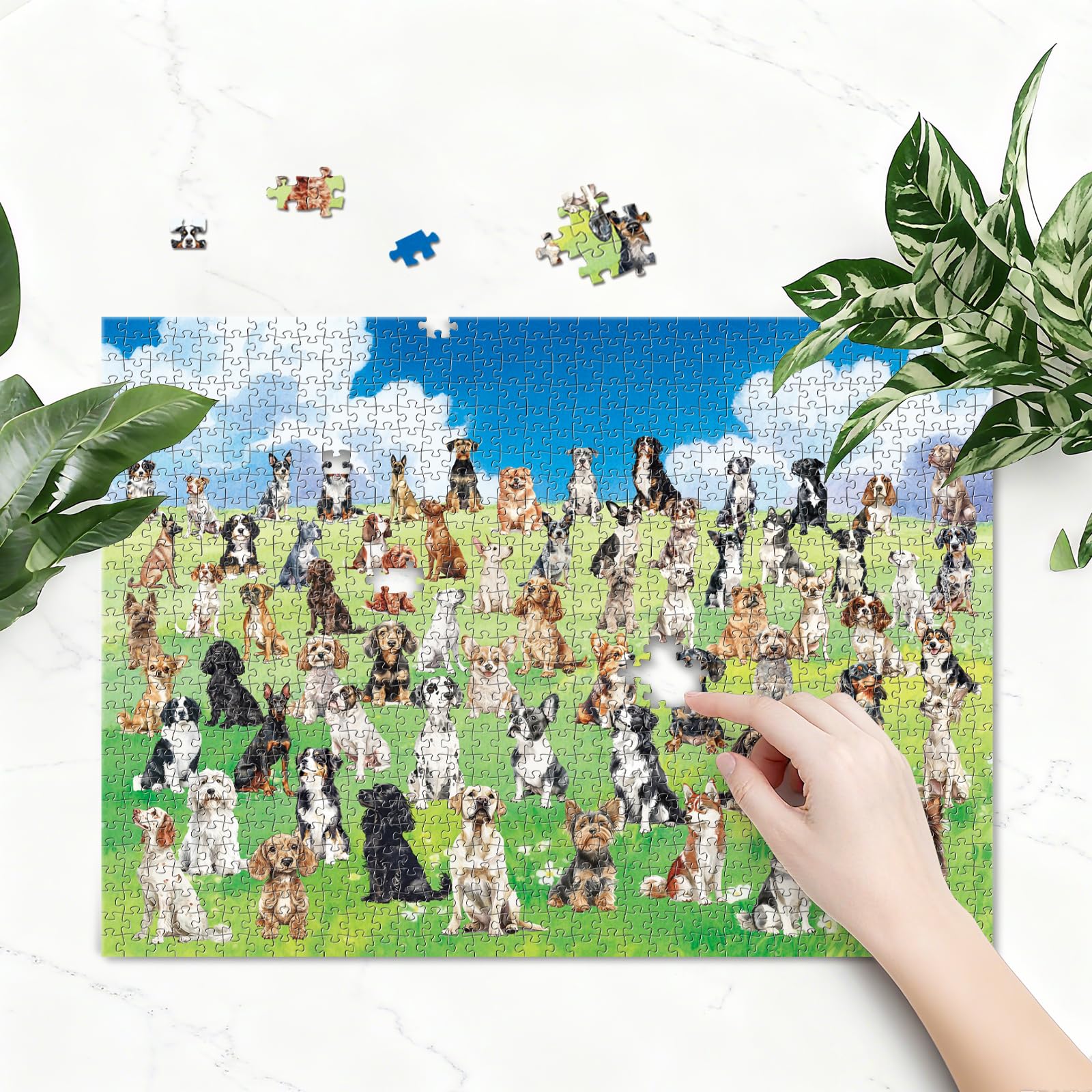 Artnedu 1000 Piece National Parks Jigsaw Puzzle – Vintage Travel Poster Art for Adults