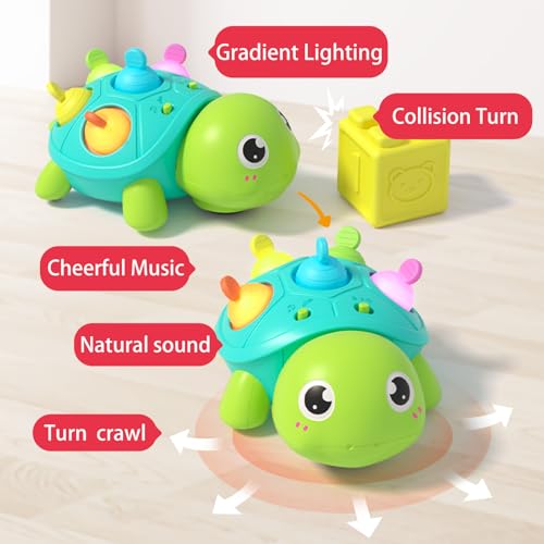 Baby Crawling Turtle Toy with Lights & Music, Tummy Time, 6-12 Months, Gift for 1 Year Old