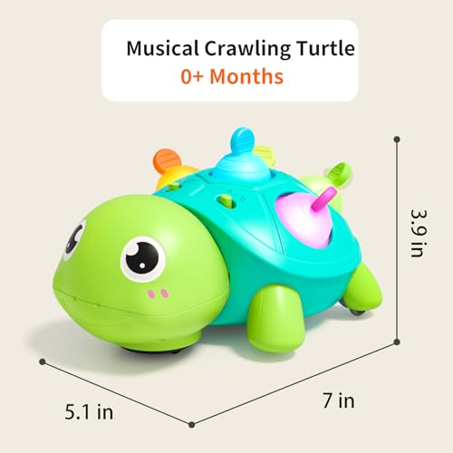 Baby Crawling Turtle Toy with Lights & Music, Tummy Time, 6-12 Months, Gift for 1 Year Old