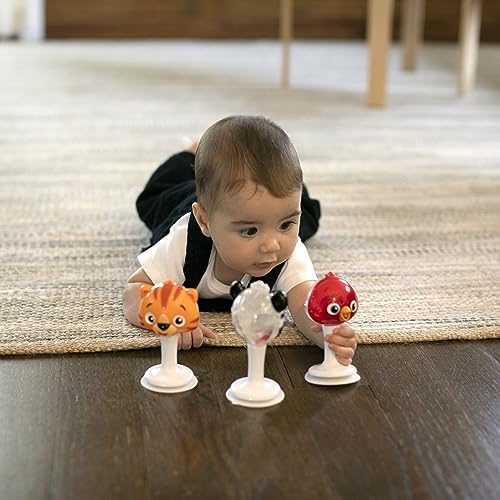 Baby Einstein Rattle & Jingle Trio with Suction Cups - Musical Take-Along Set for 6+ Months