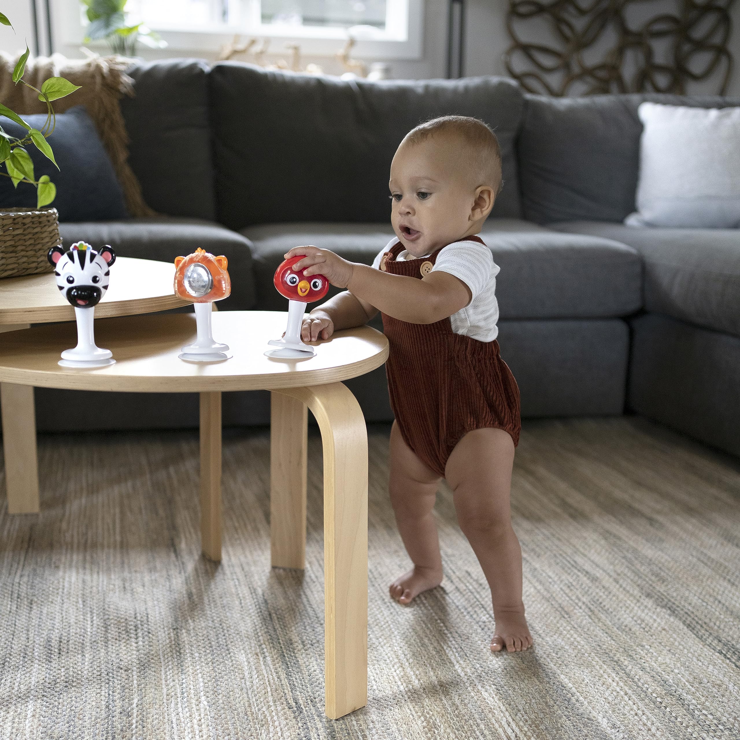 Baby Einstein Rattle & Jingle Trio with Suction Cups - Musical Take-Along Set for 6+ Months