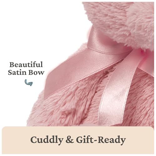 Baby GUND My First Teddy Bear - Ultra Soft Plush for Newborns, Pink, 10 Inches