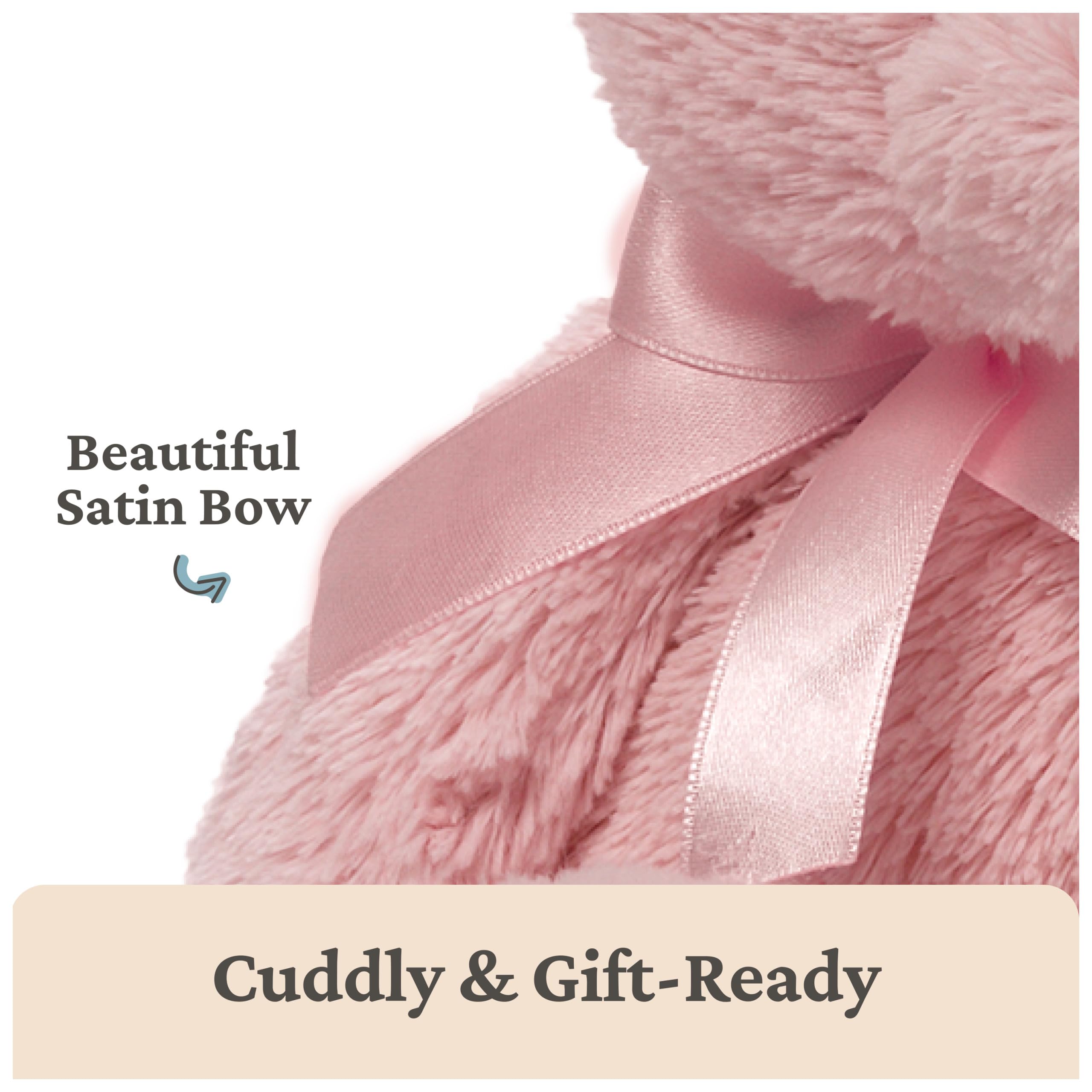 Baby GUND My First Teddy Bear - Ultra Soft Plush for Newborns, Pink, 10 Inches