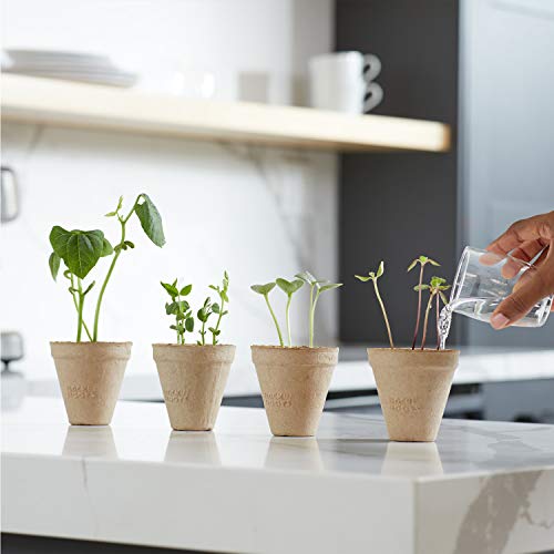 Back to the Roots Kids Science Grow Kit: Organic Bean & Watermelon Gardening Set (2-Pack)