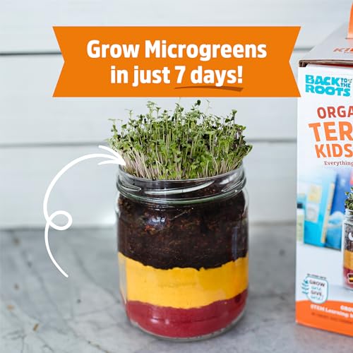 Back to the Roots Terrarium Grow Kit – DIY Organic Mini Garden for All Ages