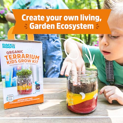 Back to the Roots Terrarium Grow Kit – DIY Organic Mini Garden for All Ages