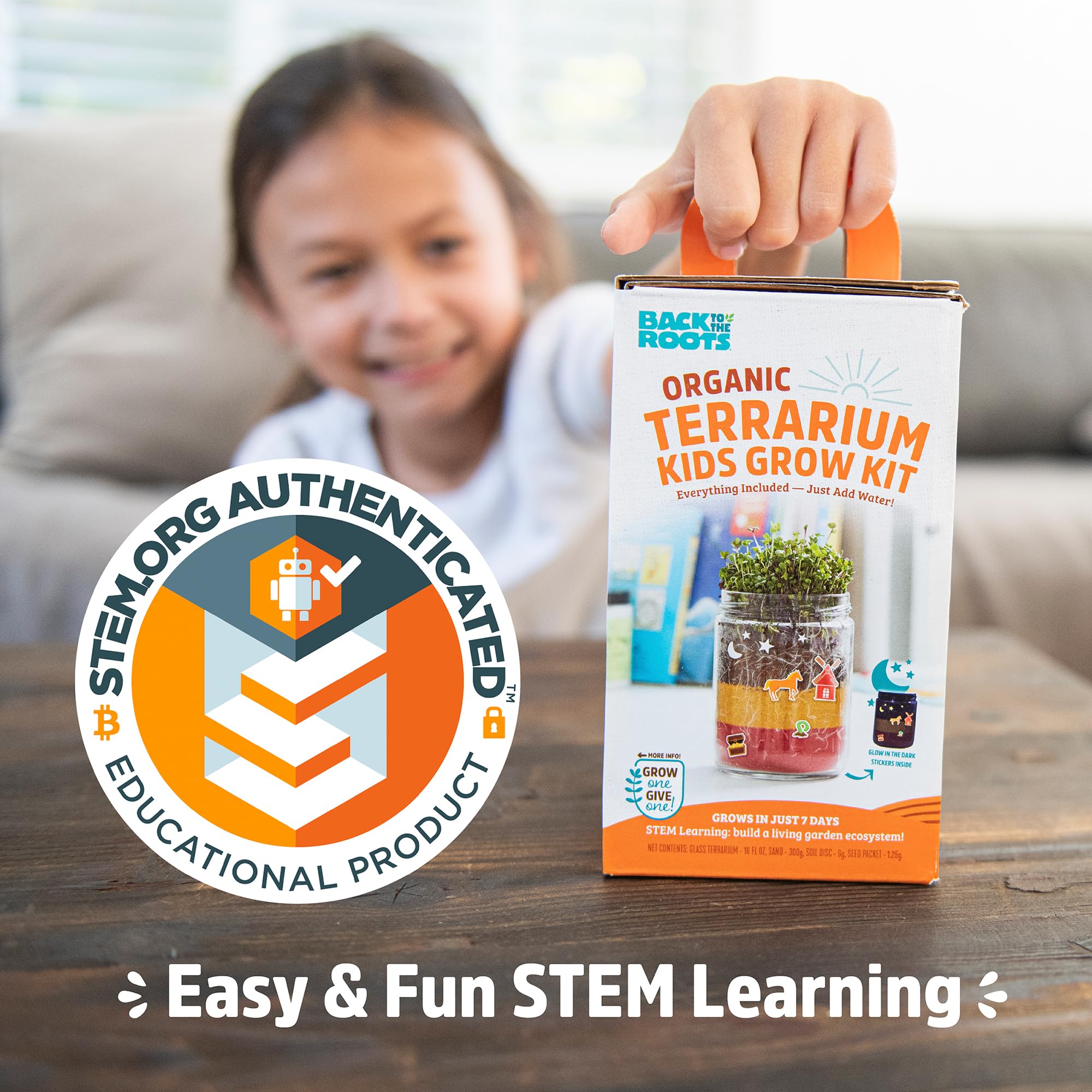 Back to the Roots Terrarium Grow Kit – DIY Organic Mini Garden for All Ages