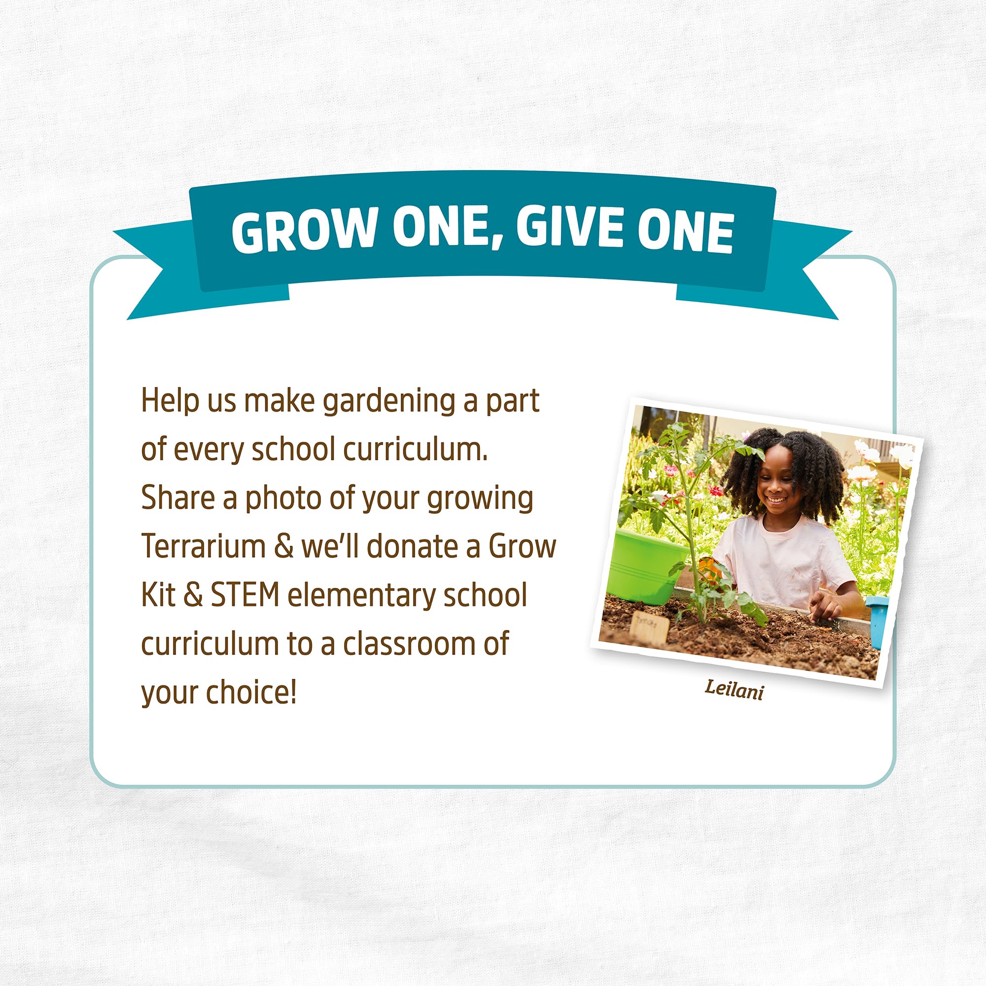 Back to the Roots Terrarium Grow Kit – DIY Organic Mini Garden for All Ages